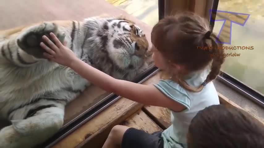 Kids VS Zoo animals are way funnier