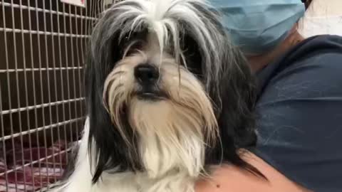 BellaBoo visits Dr. Baker