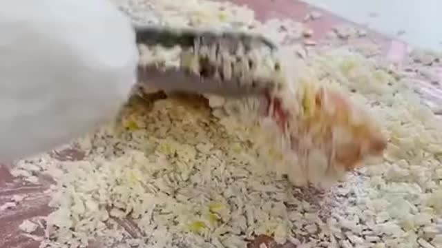 Cat cooked food