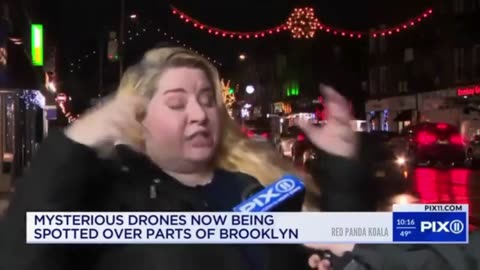 Interview with Diane Atkins who filmed alleged drones in Brooklyn.