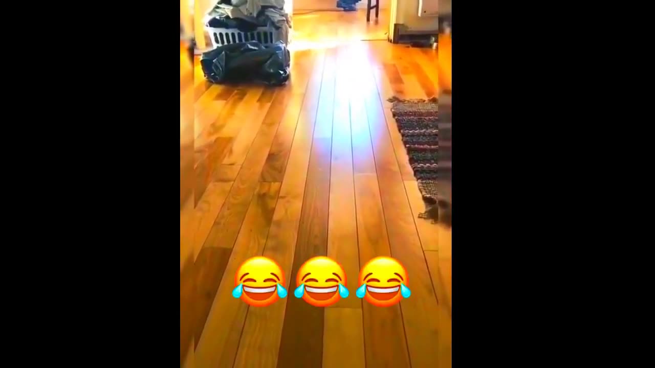 New Funny Animals Video 2023 | Funniest Cats and Dogs Videos | New Funny Video Of Cat And Dogs #422