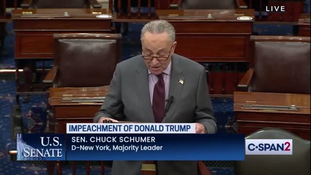 Senate Majority Leader Chuck Schumer Determined to Prove Trump caused an "erection."