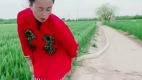 Best Funny Videos, Chinese