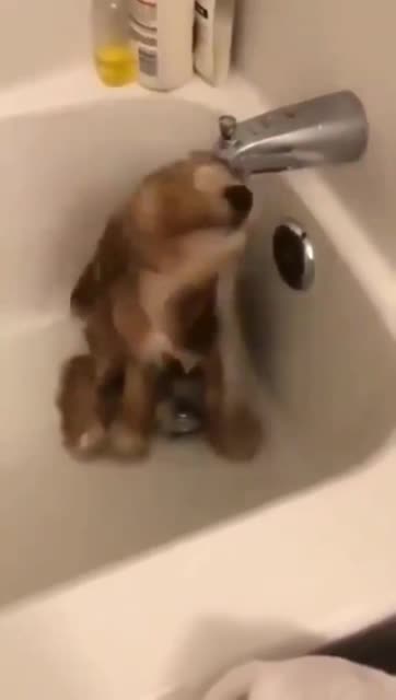 Upgraded to the self cleaning model