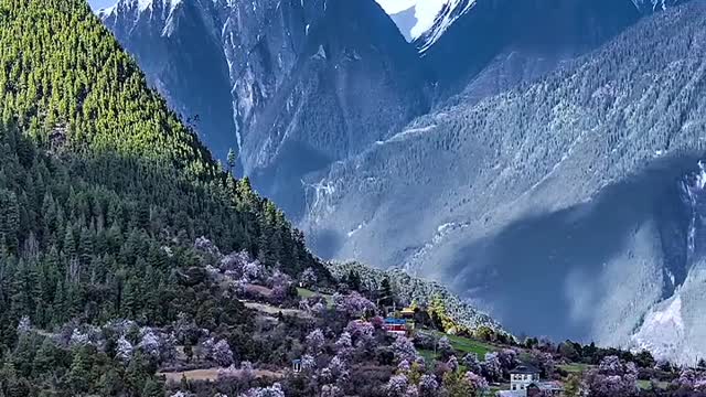 Natural views and music