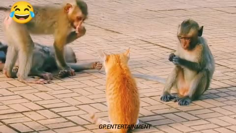 Dog and monkey funny video dog and monkey funny prankfake gorilla prankPART#45😅😂🤣🙈🙉🙊