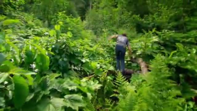 Gold Rush: Keeping Up With The Schnabels