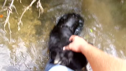 Good Time At The Creek
