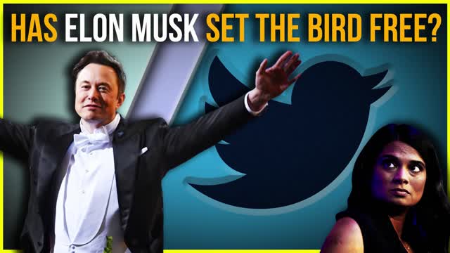 Free Thinkers Or Free Stinkers? All Praise Be To Lord Elon!
