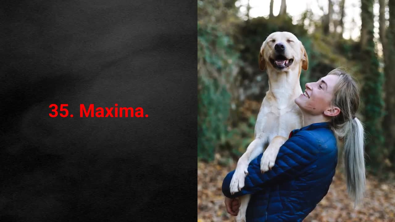 Top 50 dog badass dog names for female