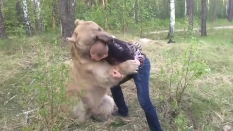 Bear play with Russian guy