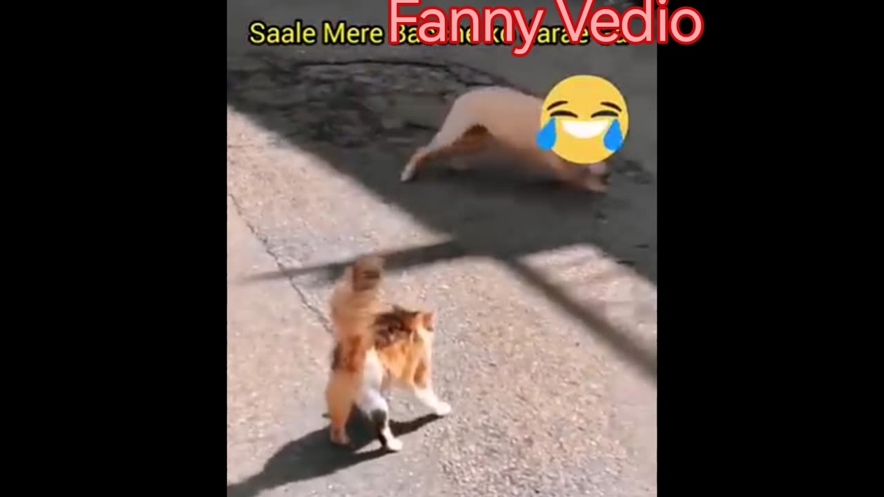 Fanny Video 😜😜#