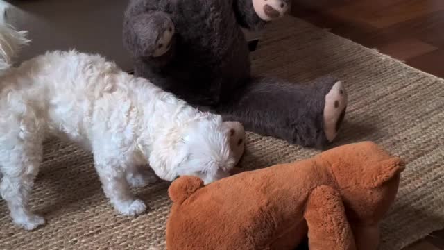 Ménage à Bear