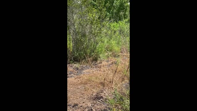 MGAC 3D Archery