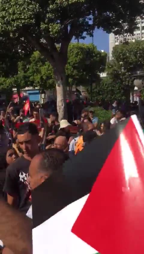 Pro Palestine rally in Tunisia