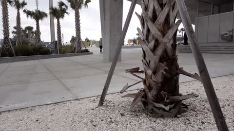 St Pete Pier