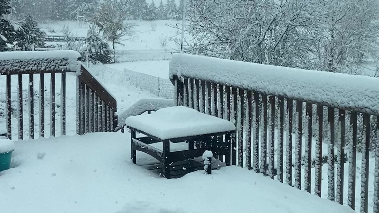 Fuck you minnesota fuck you!