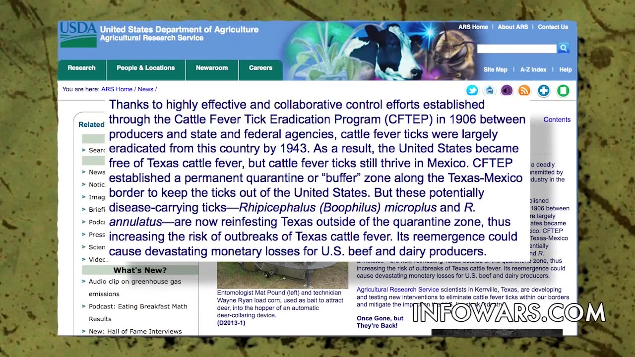 Untold Horrors From The Border Invasion