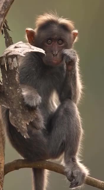 Incredible things incoming sooner or later