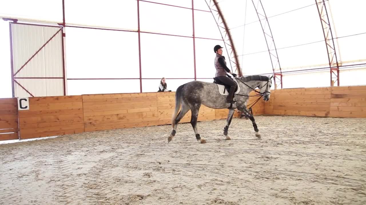 On the horse farm woman riding horse sport competition animal race jump