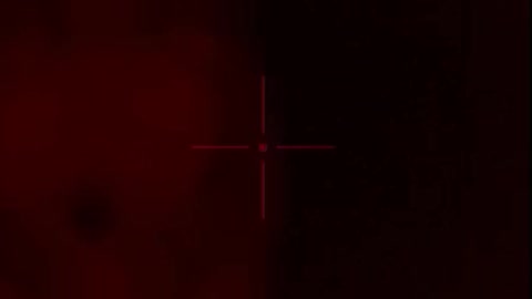 Thermal Dogs: Cute IR Dog Videos