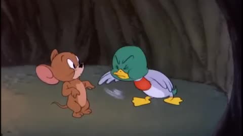 The jerry and duck doctor