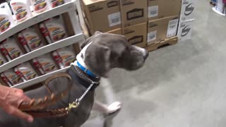 Tyson at Lowes