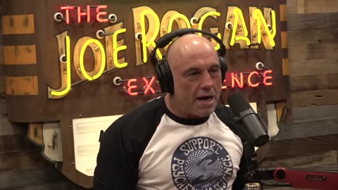 Joe Rogan Experience #2179 - Bridget Phetasy