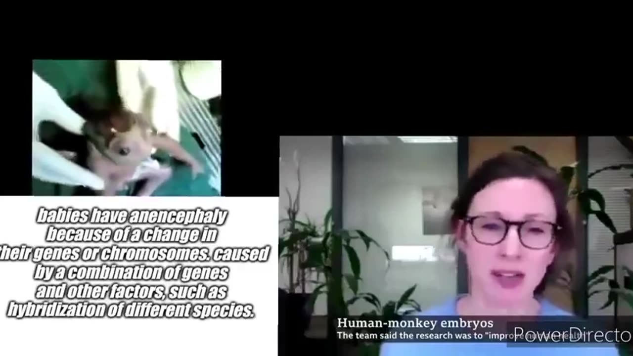 Monkey-Human hybrids are real~Alex Jones was right again!!