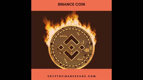 Binance Coin Basics