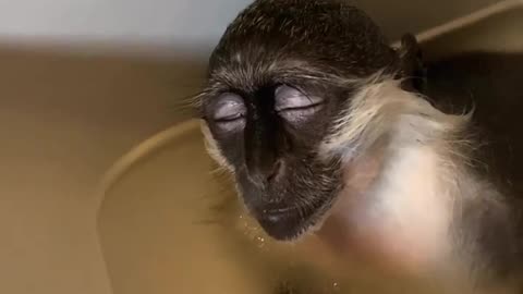 SpaDay🚿🛁🦥