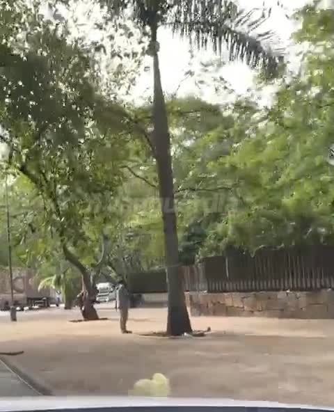 Video: Así amaneció el Parque del Agua después del traslado humanitario de más de 700 migrantes