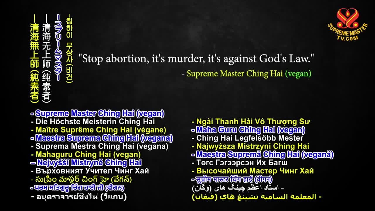 Stop Abortion, It’s Murder, It’s Against God’s Law, Part 4