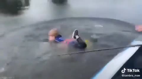 This is a beautiful and charming water-dwelling species