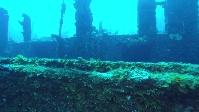 Diving the El Aquila Wreck - Roatan