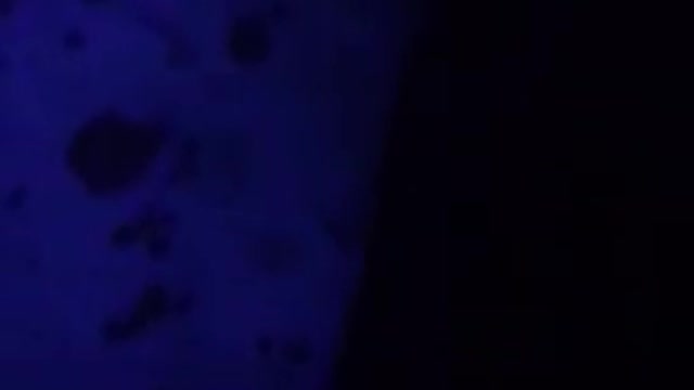 8 year old scared to death in haunted house