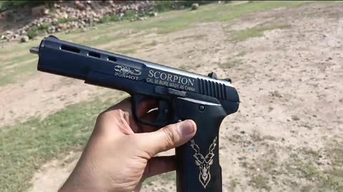 Check The ✔️ Desert Scorpion 🦂 Best Pistol / Rumble. Com