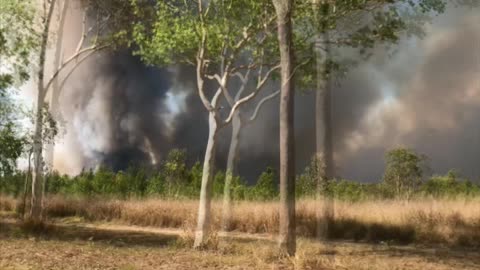 Bushfire in Damper Creek