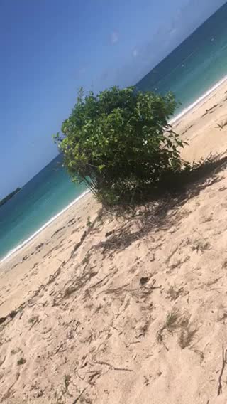 Awesome beach 🏖 in vieques