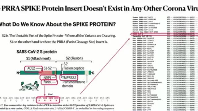 Dr. Richard Fleming zeigt, dass in das Spike-Protein HIV eingefügt wurde.