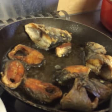 Fish 🎣 is on the menu