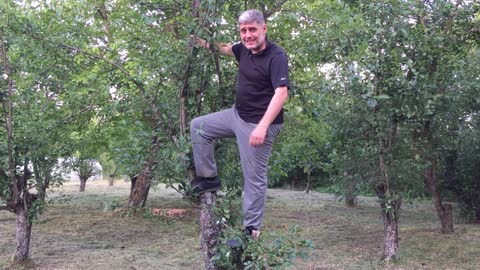 Miroljub Petrović - Izolacija - Bitka za zdravu Srbiju