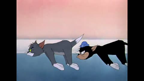 tom and jerry