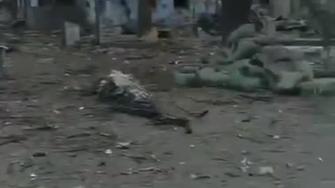 Russian fascists shelled the village of Snigurivka, Mykolaiv Oblast