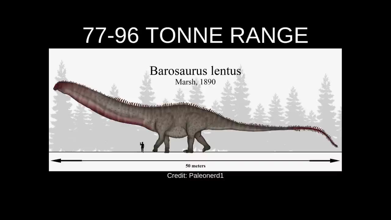 A Dinosaur The Size of a Blue Whale? Bruhathkayosaurus matleyi