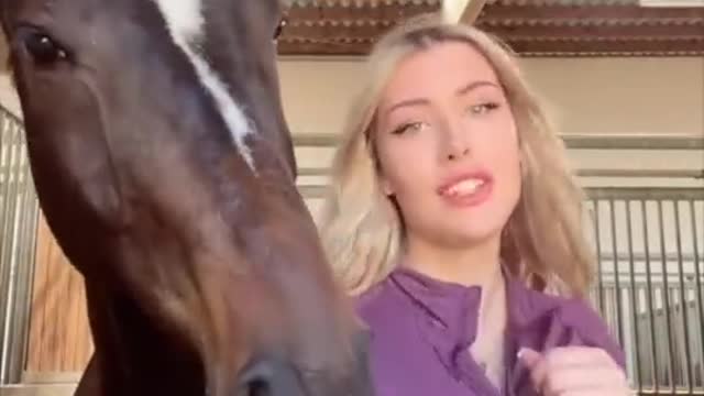 Girl with horse || horse funny videos|| new horse prank comedy|| new funny videos