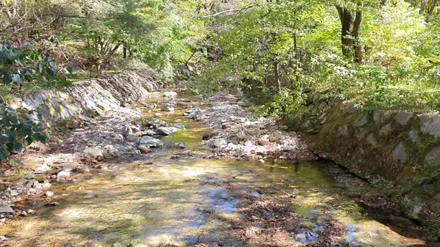 Beautiful Nature