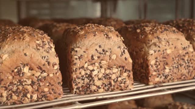 All About Multigrain Bread Online from Theobroma