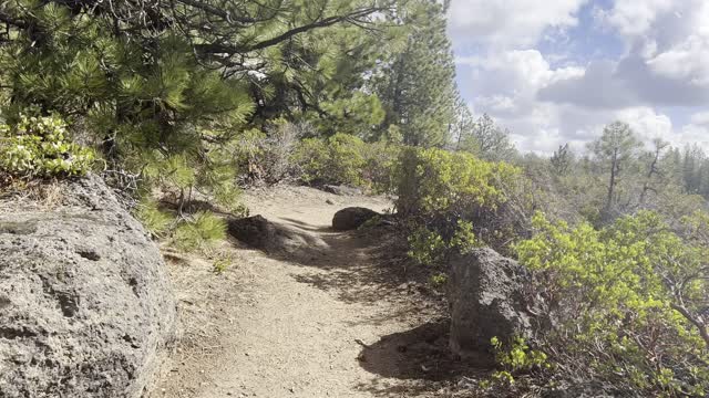 There are MULTIPLE Viewpoints in the Dillon Falls Overlook Zone – Deschutes River Trail – 4K