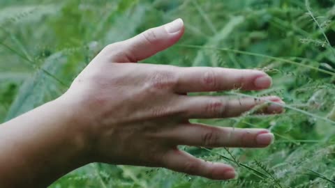 Woman Touching Grass leaves on Mountain Trek